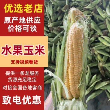 【实力推荐】水果玉米。产地一手货源云南，海南