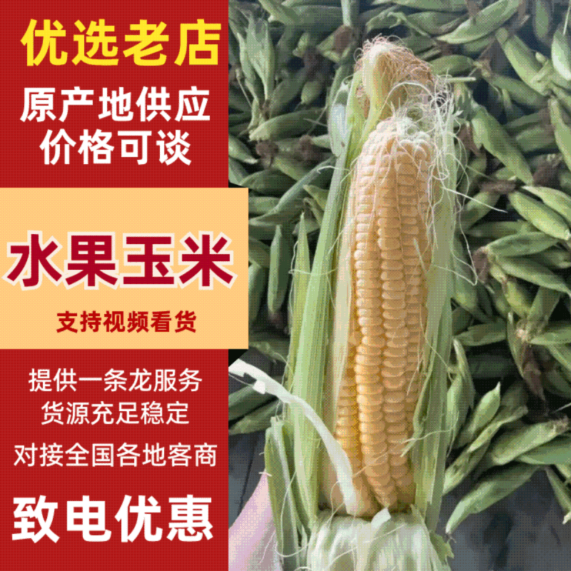 【精选货源】水果玉米产地一手货源云南，海南
