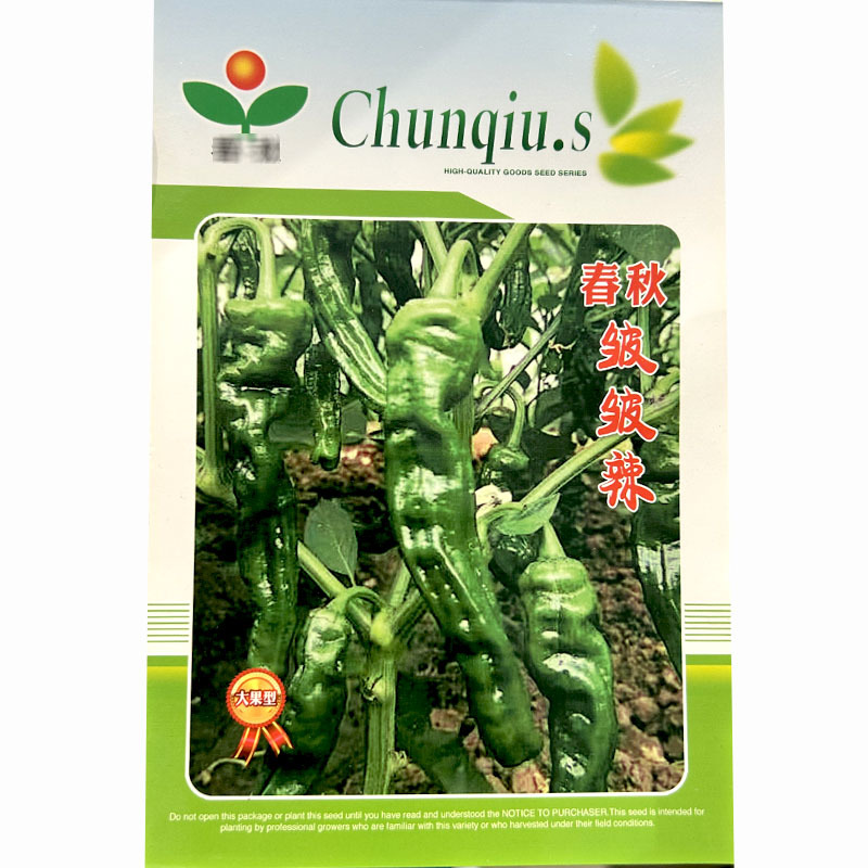 春秋皱皮椒种子香辣皱皮皱皱皮黑亮香辣高产山东皱皱辣新货