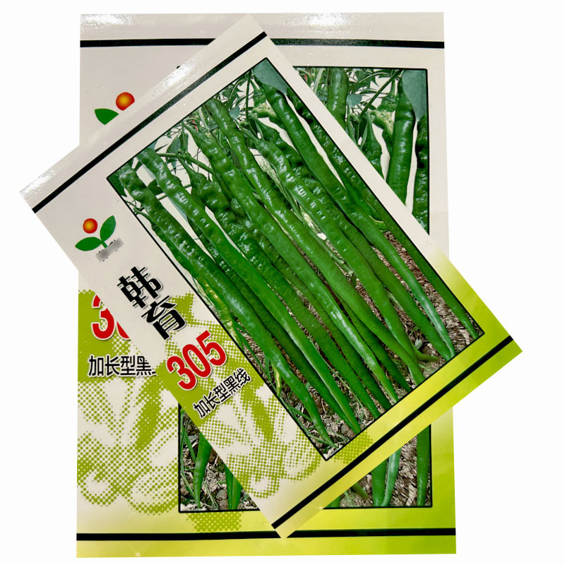 黑线椒辣椒种子韩育305高产早中熟超辣抗病基地春秋季播