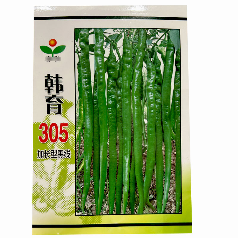 黑线椒辣椒种子韩育305高产早中熟超辣抗病基地春秋季播