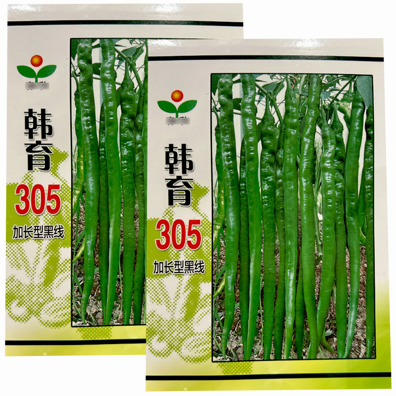 黑线椒辣椒种子韩育305高产早中熟超辣抗病基地春秋季播