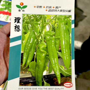 理想尖椒F1羊角椒种子**特大早熟黄绿皮抗病高产辣椒种籽