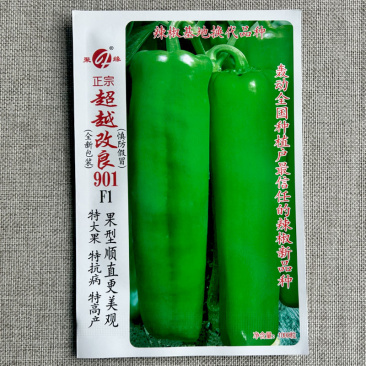 牛角椒种子超越改良901早熟果大粗长牛角椒种子果型顺直