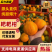 耙耙柑春见柑桔现摘现发保鲜包装对接电商平台市场等