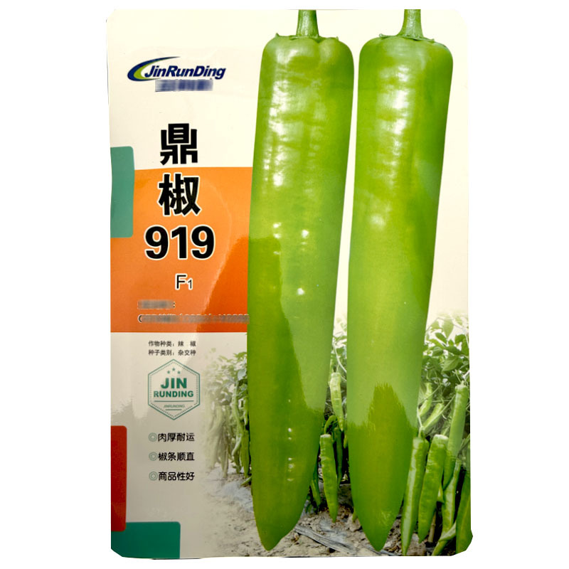 鼎辣919辣椒种子中早熟大果型黄绿皮牛角椒种籽肉厚顺直辣