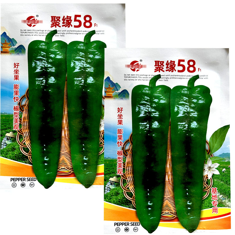 聚缘58辣椒种子大果羊角椒高产朝天椒蔬菜种子阳台盆栽基地