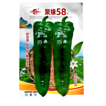 聚缘58辣椒种子大果羊角椒高产朝天椒蔬菜种子阳台盆栽基地