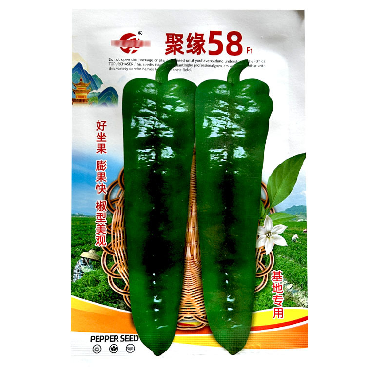 聚缘58辣椒种子大果羊角椒高产朝天椒蔬菜种子阳台盆栽基地