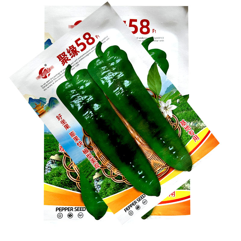 聚缘58辣椒种子大果羊角椒高产朝天椒蔬菜种子阳台盆栽基地