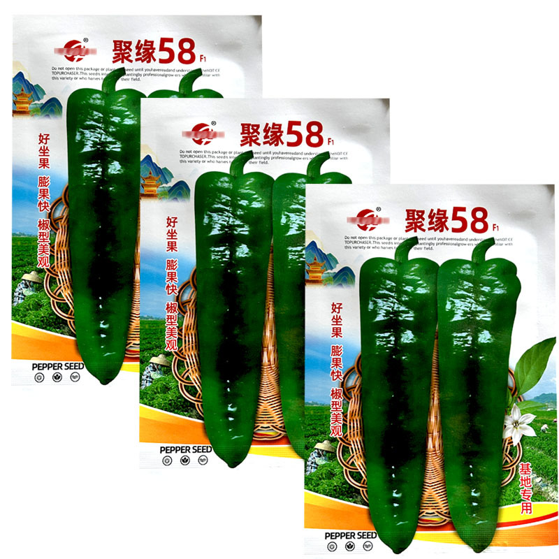 聚缘58辣椒种子大果羊角椒高产朝天椒蔬菜种子阳台盆栽基地