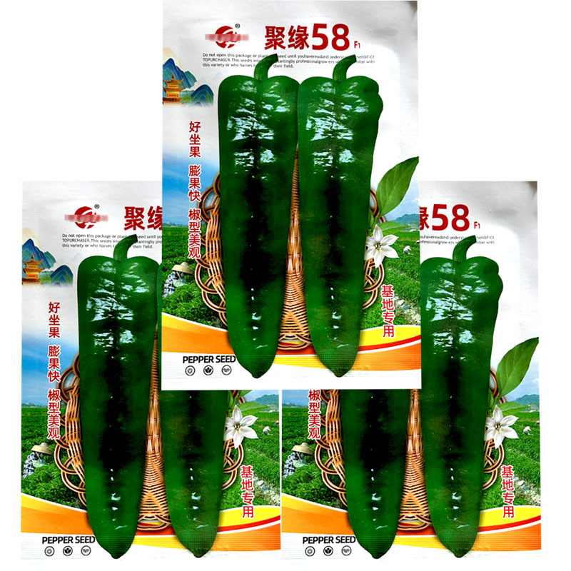 聚缘58辣椒种子大果羊角椒高产朝天椒蔬菜种子阳台盆栽基地