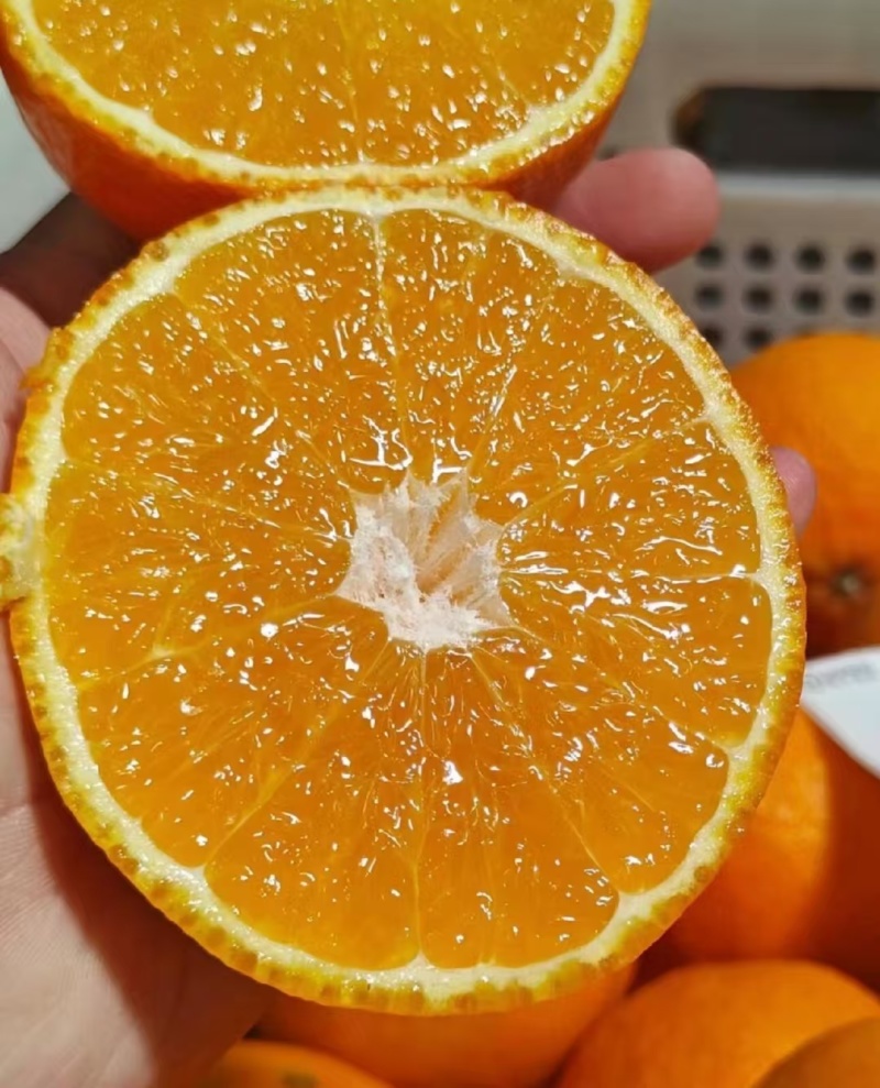 爱媛38号，果冻橙，源充足，颜色火红，味道好个头大