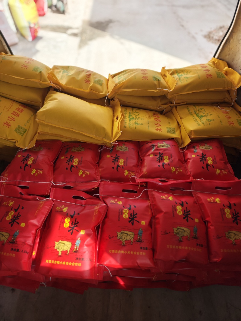 山西小米保质保量供货常年看货有货价钱实惠