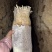 河北优质黄金针菇种植基地直发对接商超档口欢迎选购