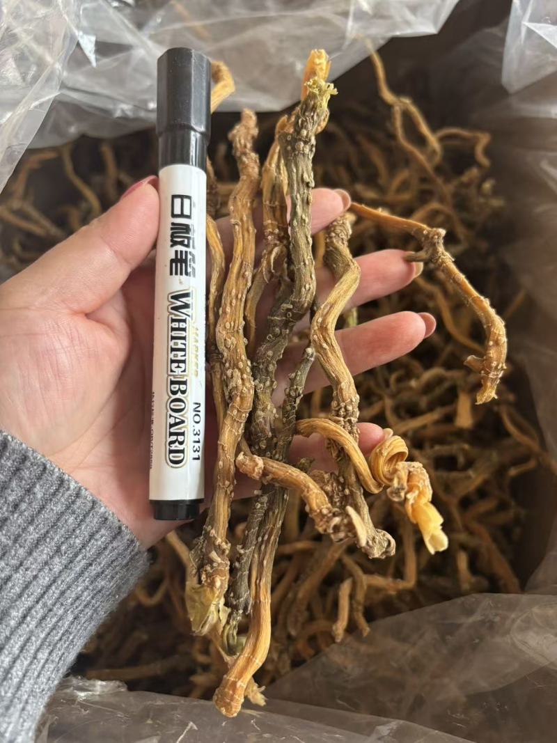 纯野生玉竹条，产地直供保质保量量大从优欢迎看货