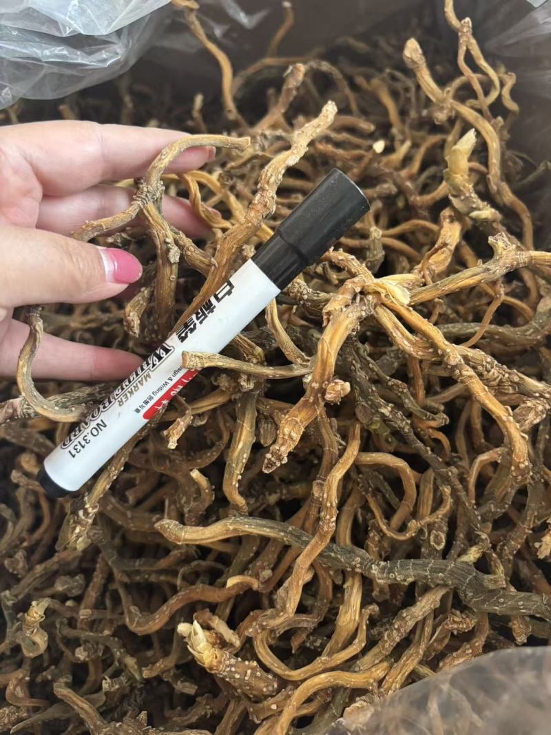 纯野生玉竹条，产地直供保质保量量大从优欢迎看货
