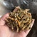 纯野生玉竹条，产地直供保质保量量大从优欢迎看货
