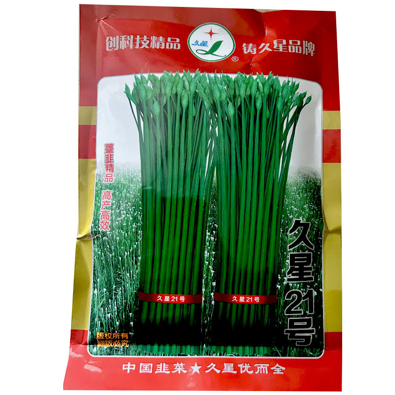 久星21号韭菜种子韭苔种子耐热耐寒250g四季韭苔休眠早