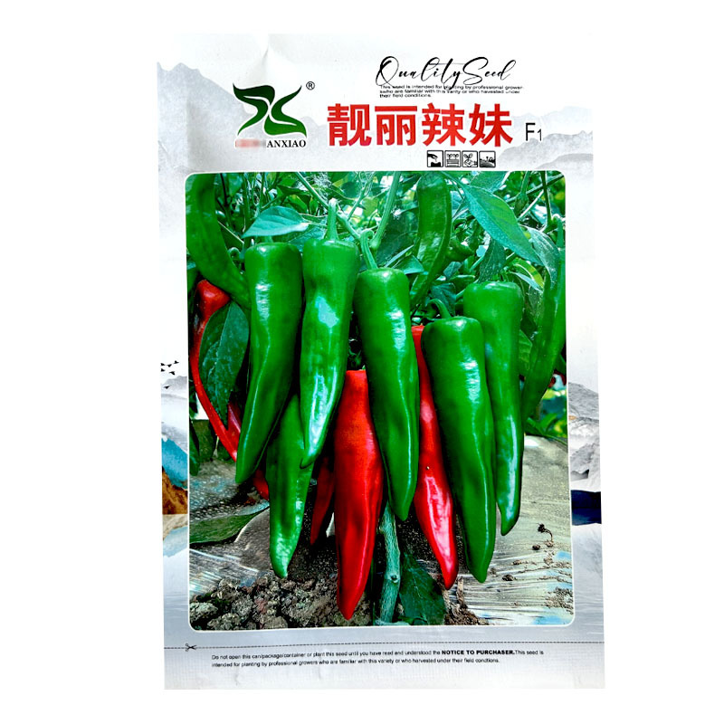 靓丽辣妹辣椒种子薄皮辣椒青红两用高产早熟家庭蔬菜种农家春