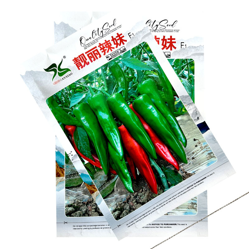 靓丽辣妹辣椒种子薄皮辣椒青红两用高产早熟家庭蔬菜种农家春