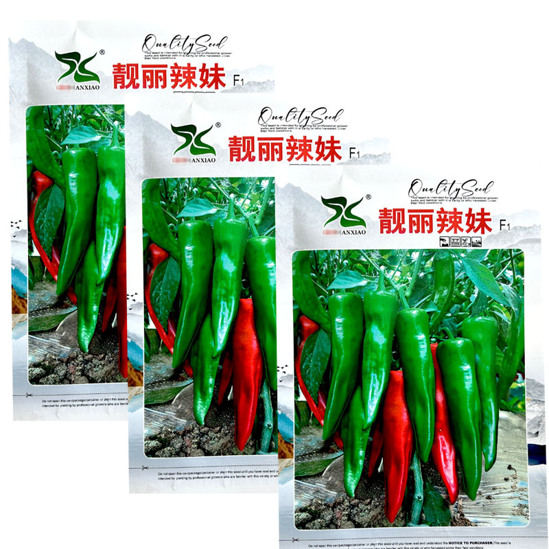 靓丽辣妹辣椒种子薄皮辣椒青红两用高产早熟家庭蔬菜种农家春