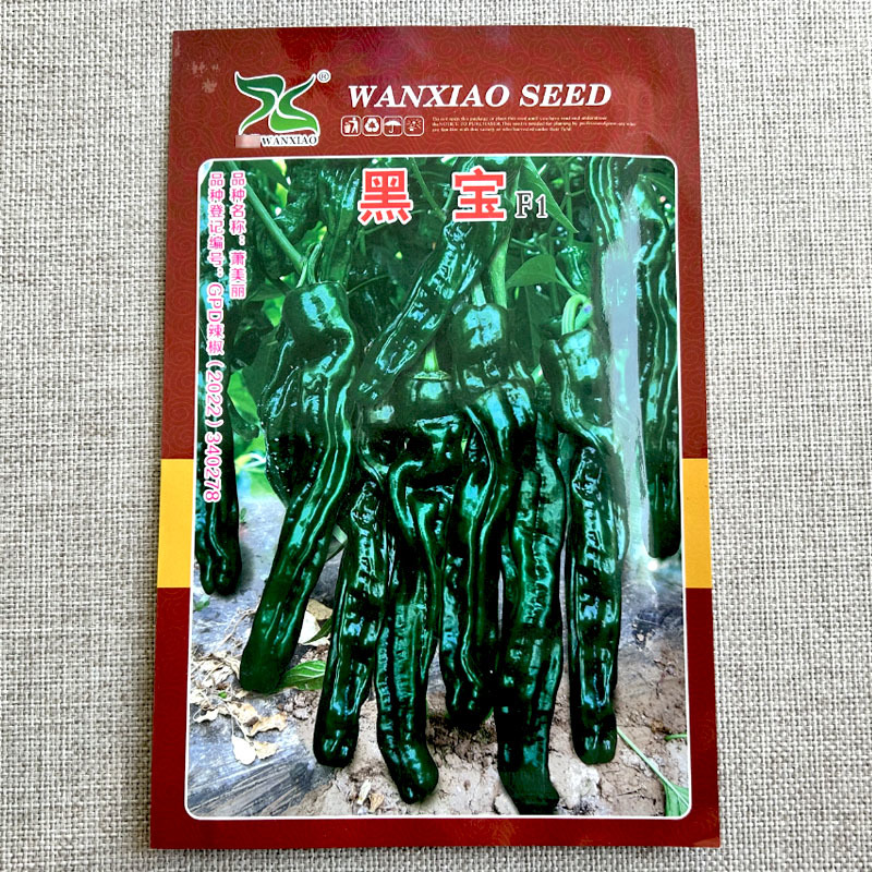 大果黑宝石辣椒种子大黑皱皮椒皮薄质脆辣味香浓高产抗病大田