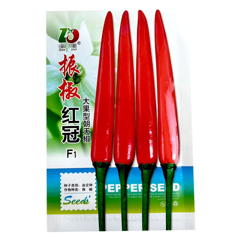 振椒辣椒种子大果型红冠朝天椒F1挂果多蔬菜种子高产红辣椒