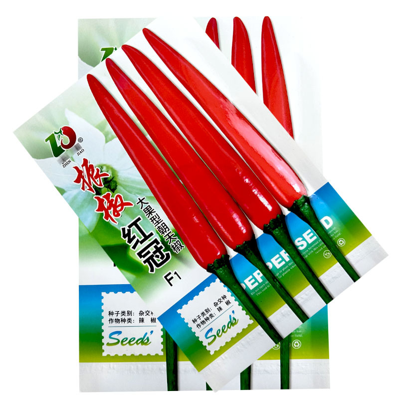 振椒辣椒种子大果型红冠朝天椒F1挂果多蔬菜种子高产红辣椒