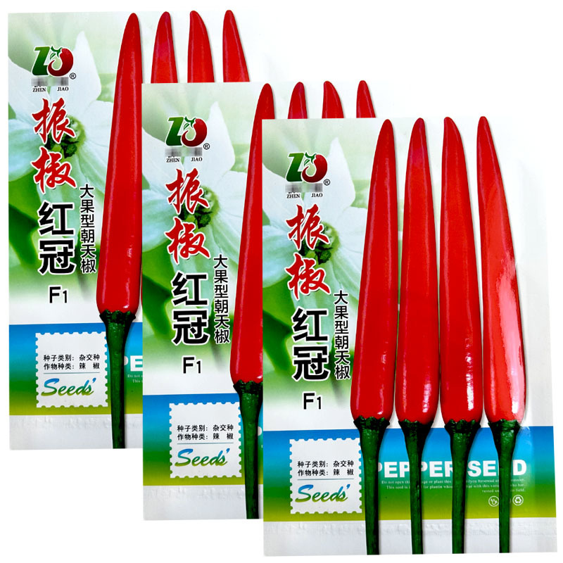 振椒辣椒种子大果型红冠朝天椒F1挂果多蔬菜种子高产红辣椒