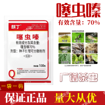 70%噻虫嗪-高含量杀虫剂果树蔬菜蚜虫蓟马稻飞虱粉虱蛴螬