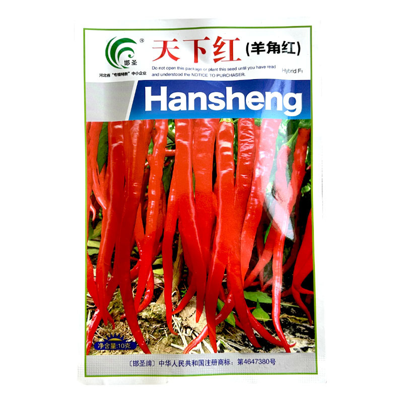 天下红羊角红种子果皮微皱辣味浓干红鲜两用大田用种