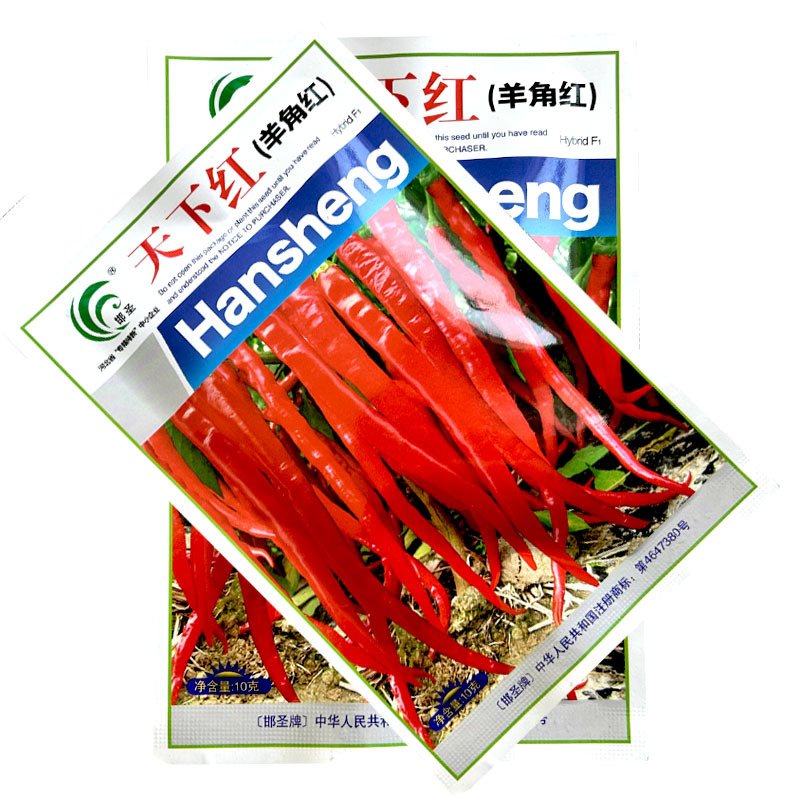 天下红羊角红种子果皮微皱辣味浓干红鲜两用大田用种