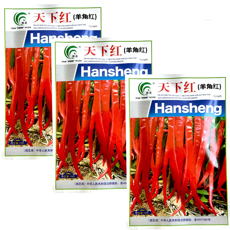 天下红羊角红种子果皮微皱辣味浓干红鲜两用大田用种