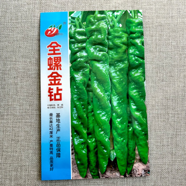 全螺金钻螺丝椒种子早熟全螺旋麻面长果螺丝椒籽抗寒抗病辣椒