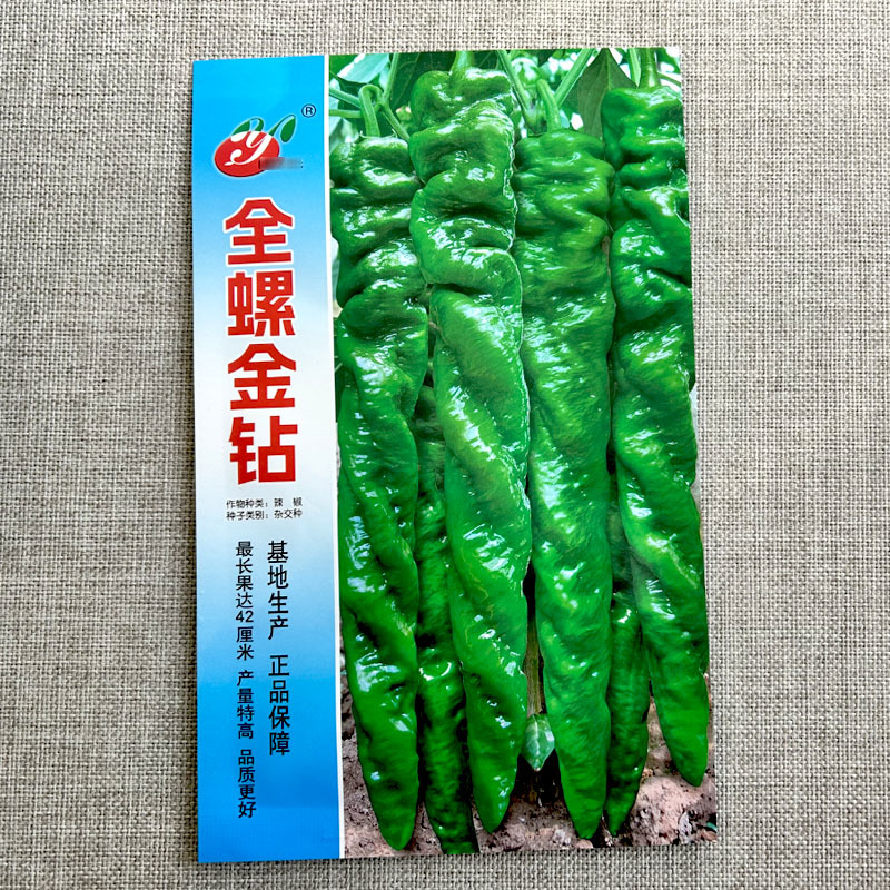 全螺金钻螺丝椒种子早熟全螺旋麻面长果螺丝椒籽抗寒抗病辣椒