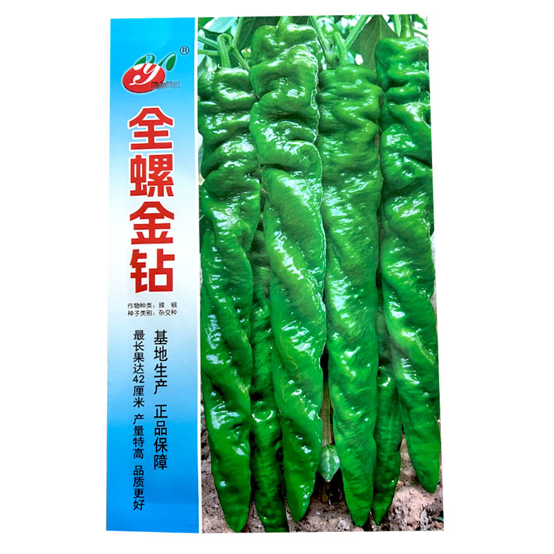 全螺金钻螺丝椒种子早熟全螺旋麻面长果螺丝椒籽抗寒抗病辣椒