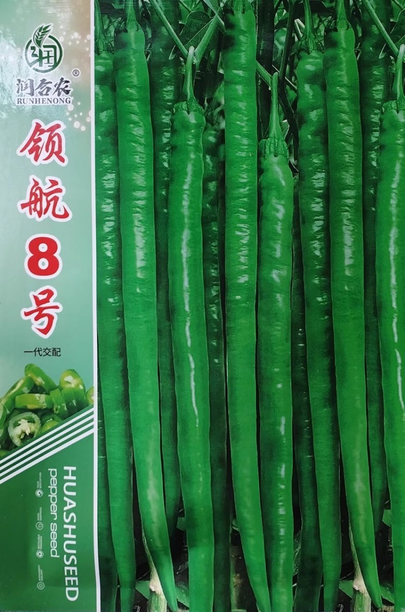 领航8号线椒种子椒条顺直香辣味浓抗病早熟春秋大棚露地辣椒