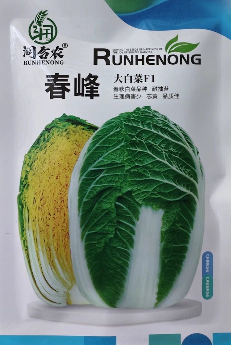 春峰白菜种子春季黄芯早熟大白菜种籽耐抽苔抗病优质春播白菜