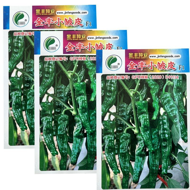 香辣小皱皮辣椒种籽辣椒种孑香辣型薄皮辣椒种籽早熟