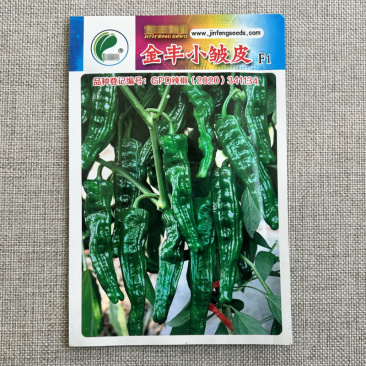 香辣小皱皮辣椒种籽辣椒种孑香辣型薄皮辣椒种籽早熟