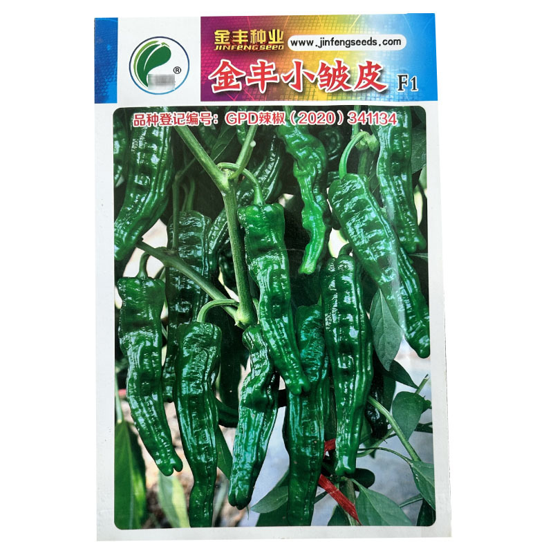 香辣小皱皮辣椒种籽辣椒种孑香辣型薄皮辣椒种籽早熟