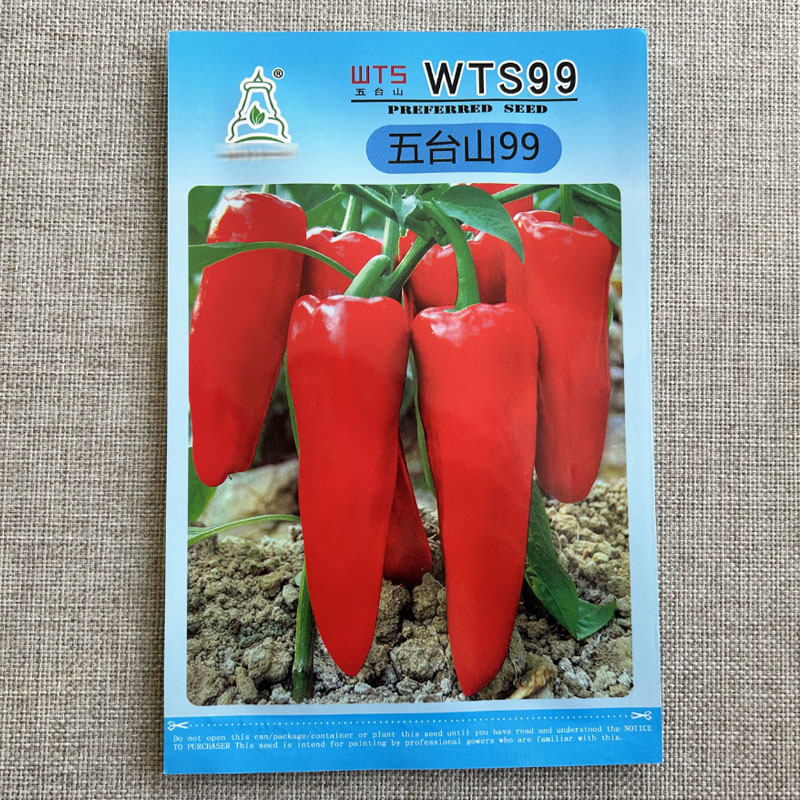 红泡椒种子wts99高产牛角形色泽鲜红辣椒种子大田基地