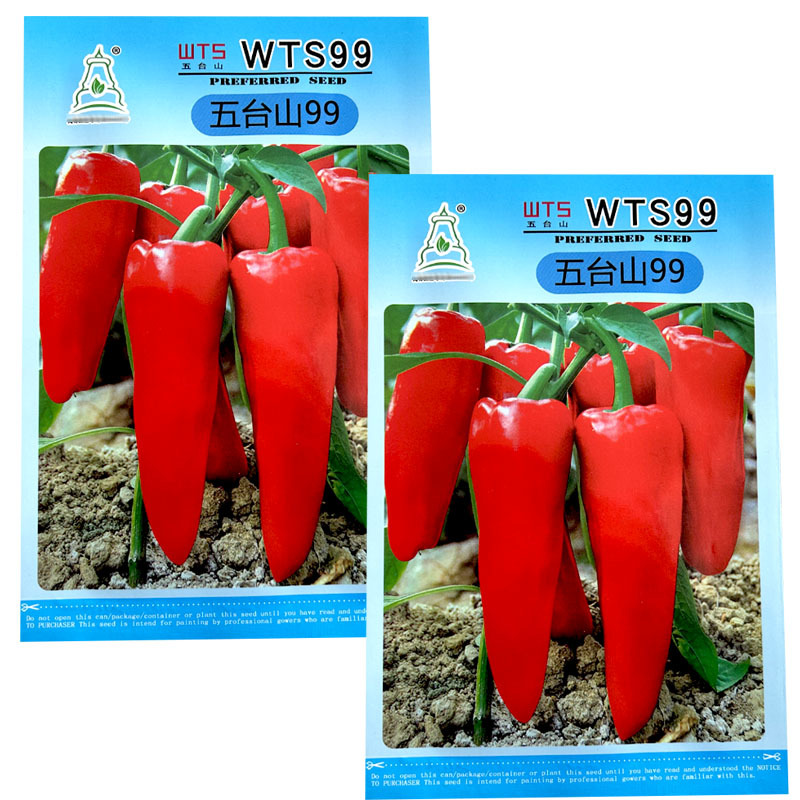 红泡椒种子wts99高产牛角形色泽鲜红辣椒种子大田基地