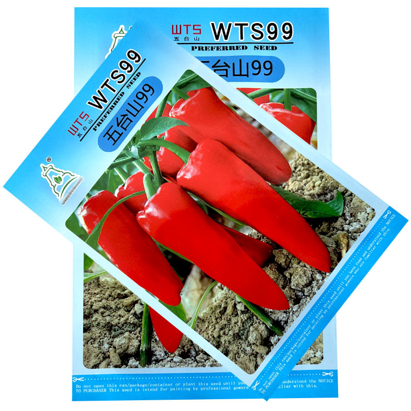 红泡椒种子wts99高产牛角形色泽鲜红辣椒种子大田基地