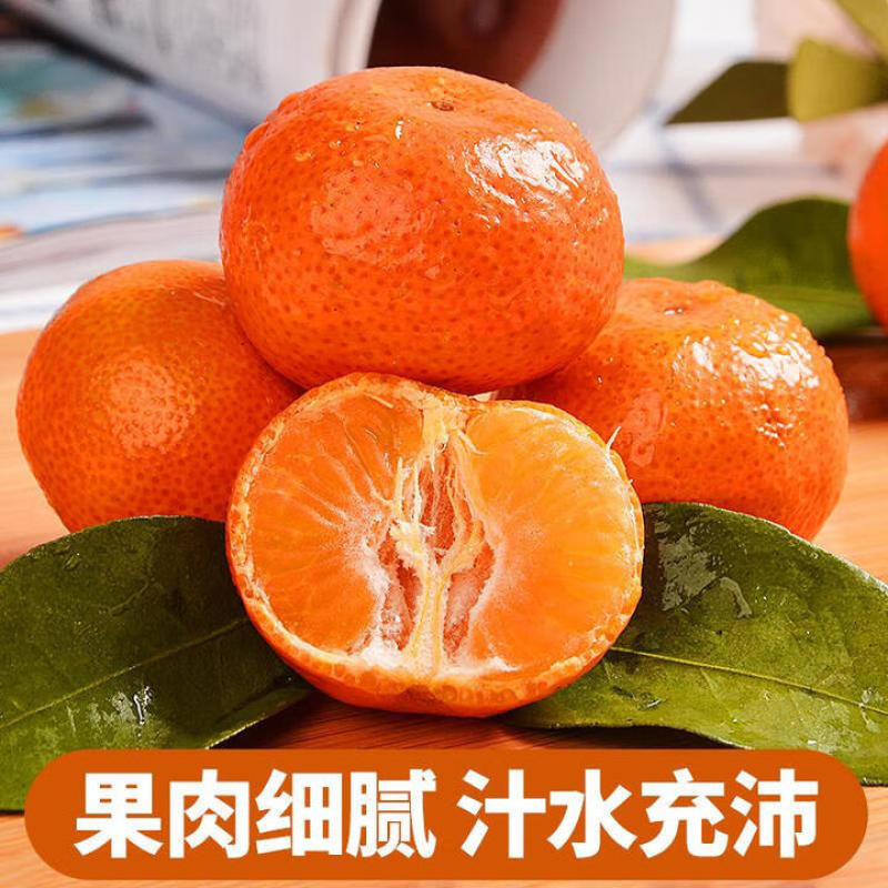 广西砂糖橘一手货源精品好货现货供应电商一件代发