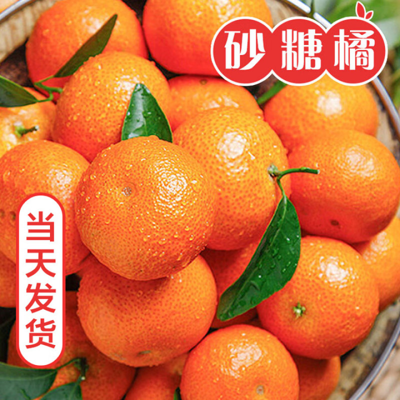 广西砂糖橘一手货源精品好货现货供应电商一件代发