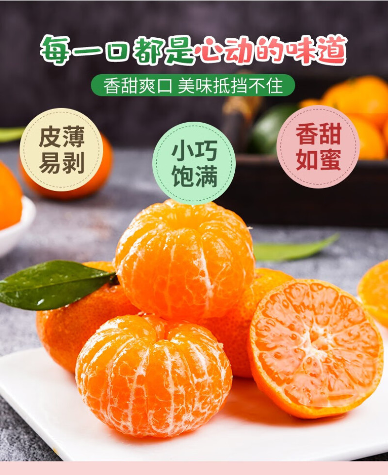广西砂糖橘一手货源精品好货现货供应电商一件代发