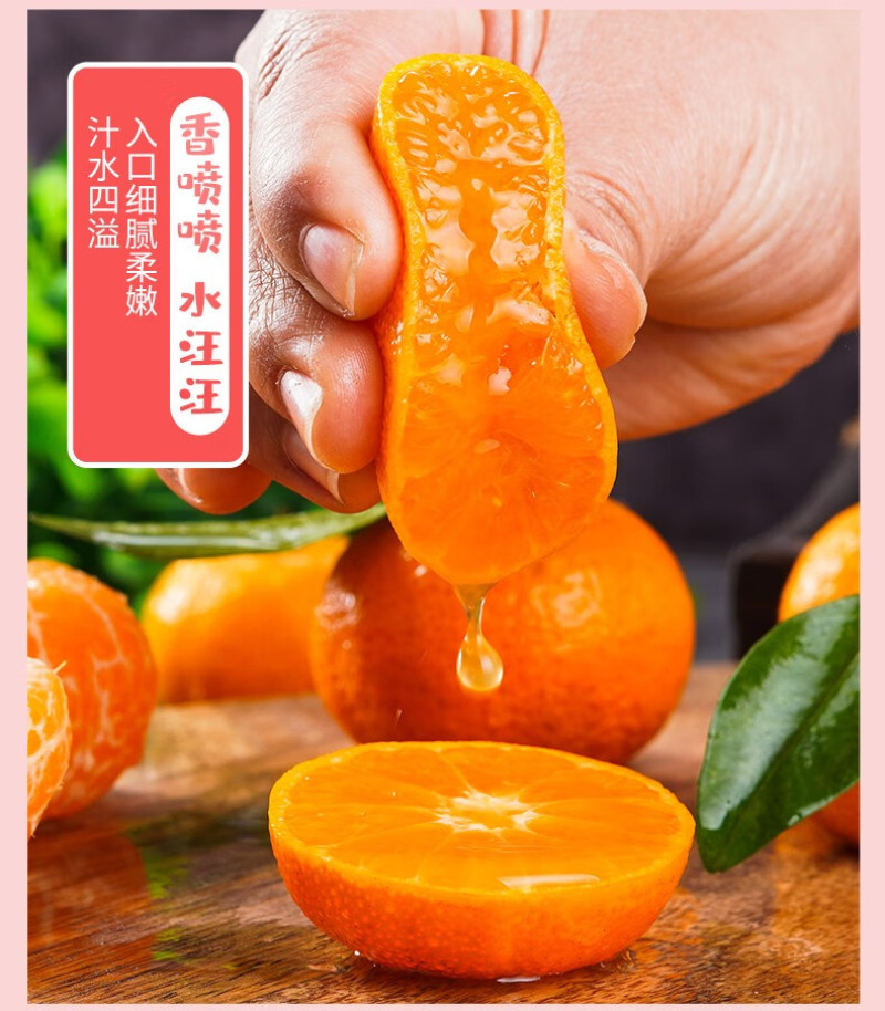 广西砂糖橘一手货源精品好货现货供应电商一件代发