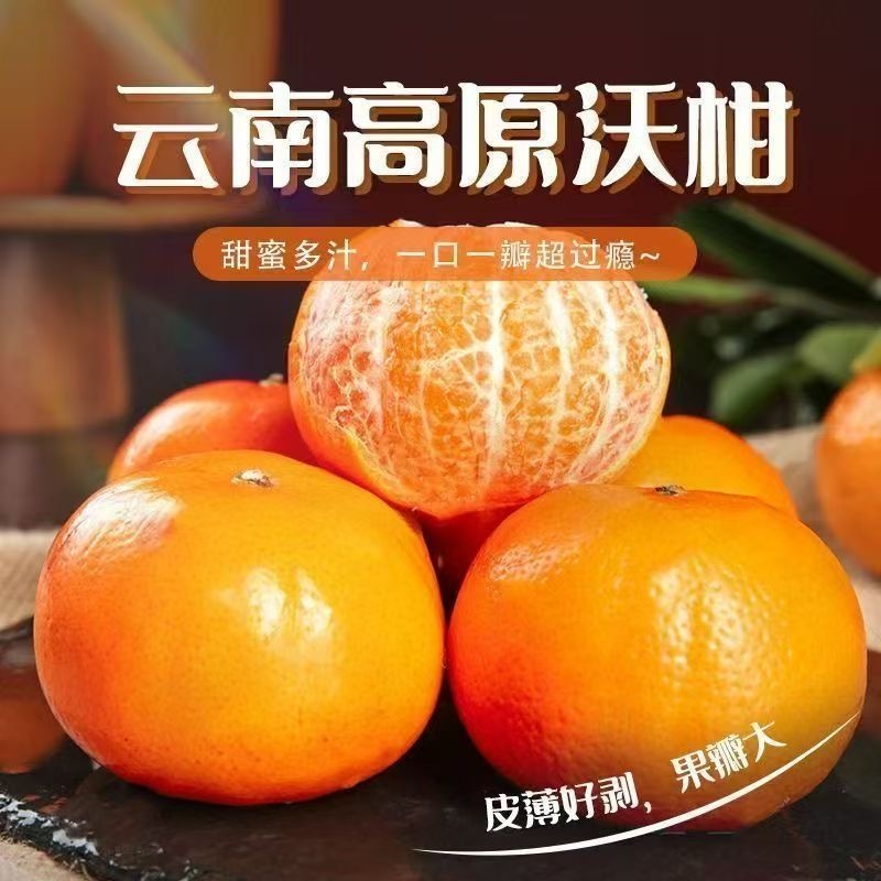 云南沃柑对接电商一件代发，深耕电商多年，满足客户需要。
